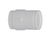 Genova Products PVC Pressure Pipe Fitting Coupling (1/2 FIP x FIP, White)