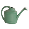 Southern Patio 2-Gallon Watering Can, Fern